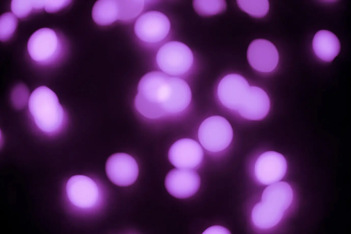 An abstract blurred background with light leaks.